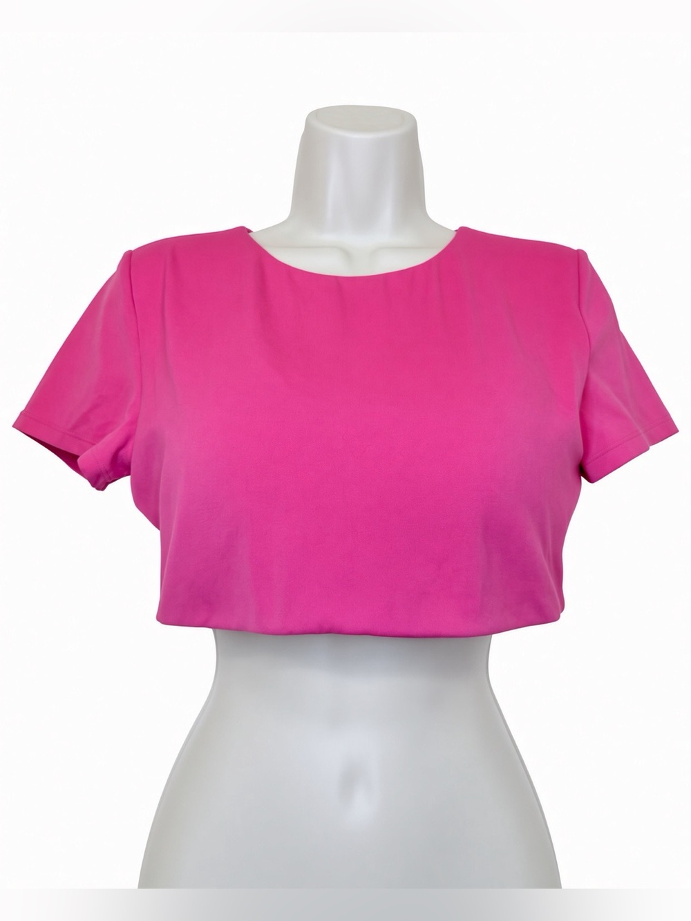 INGIA Hot Pink Short Sleeve Crop Top Stretch Athletic Tee Size S/M
